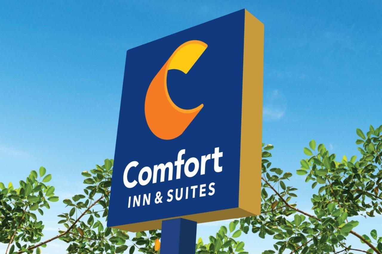 Comfort &